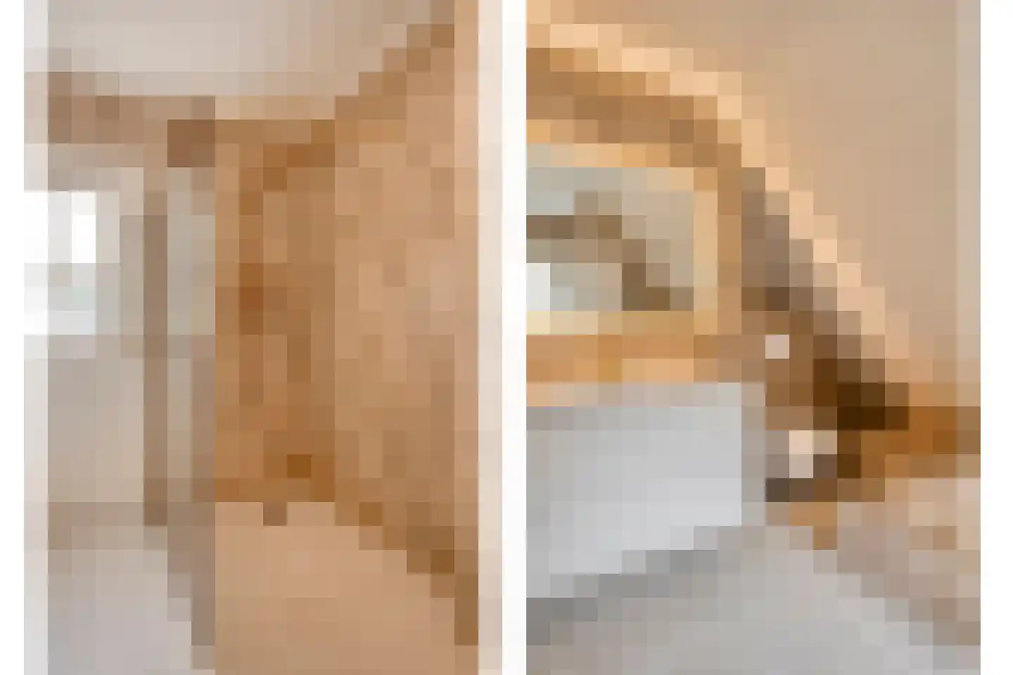 Weegbree 5 Best thumbnail 15