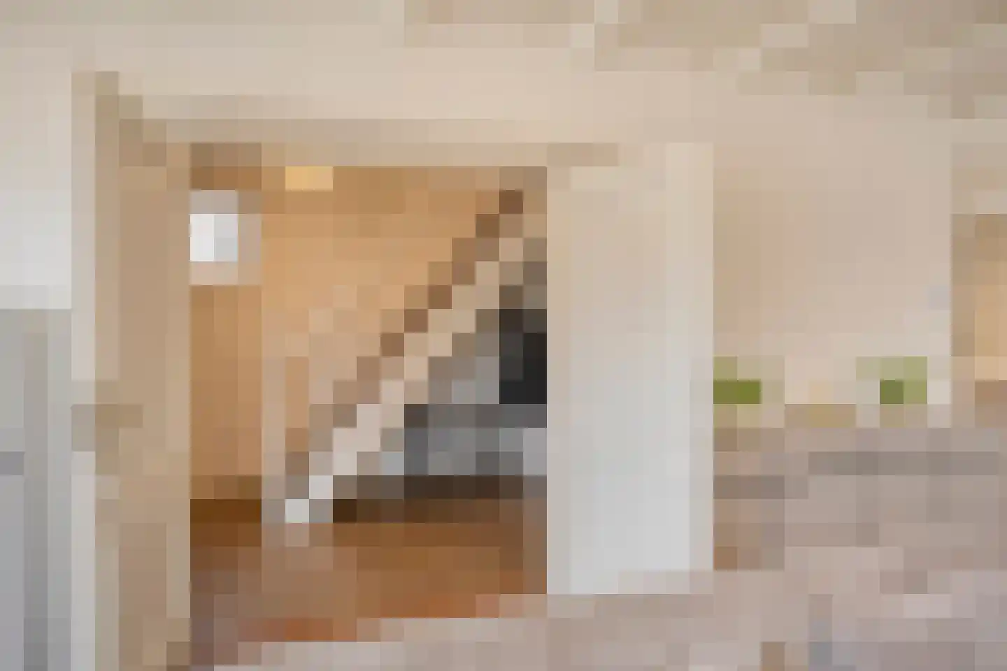 Weegbree 5 Best thumbnail 21