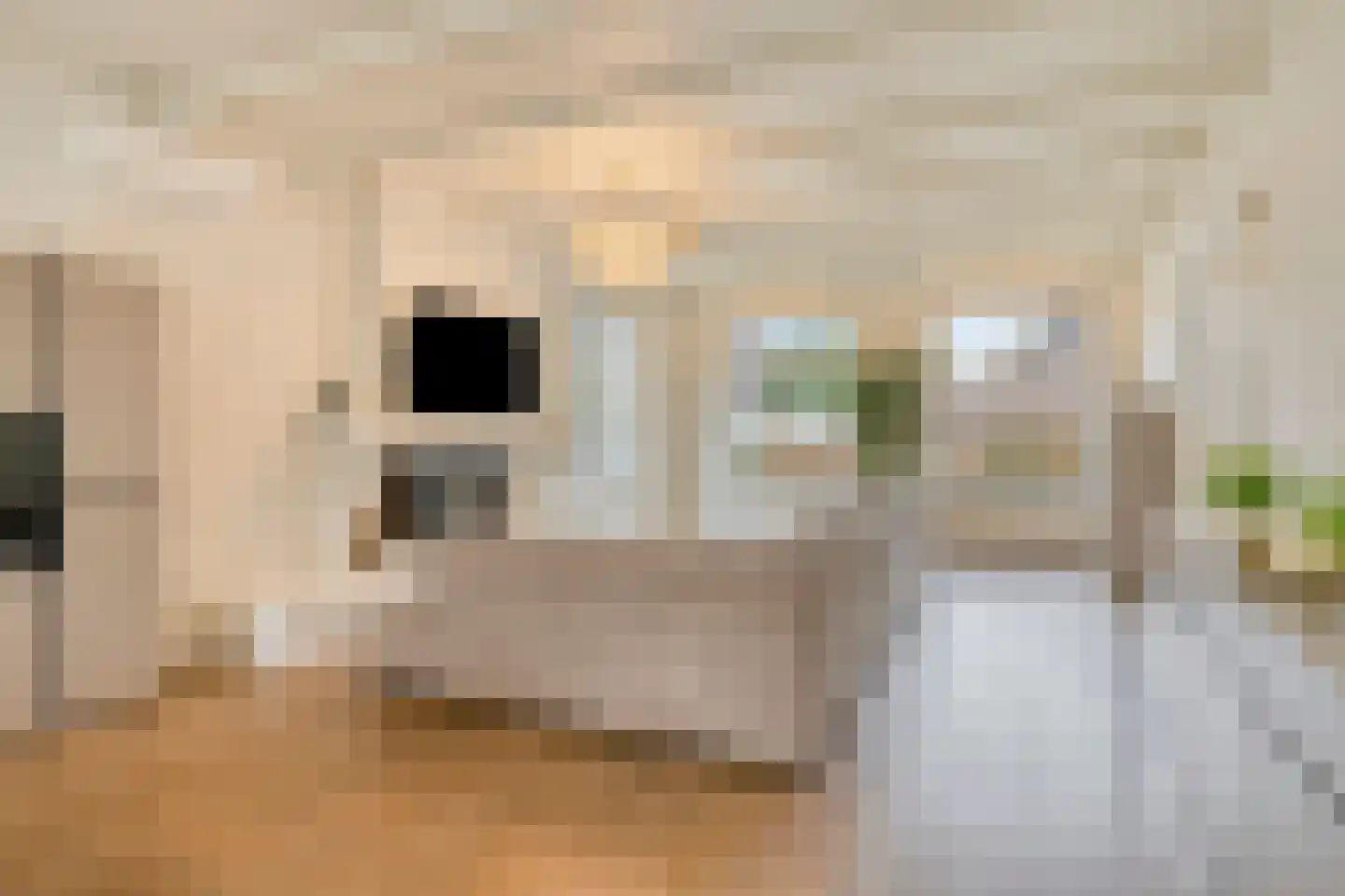 Weegbree 5 Best thumbnail 24