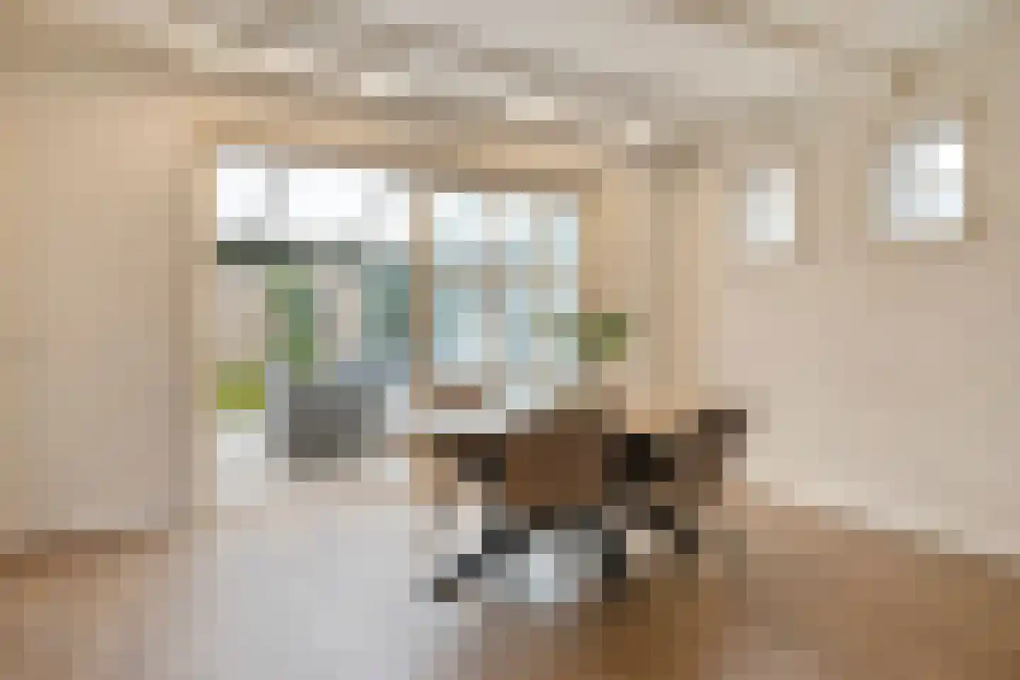 Weegbree 5 Best thumbnail 25