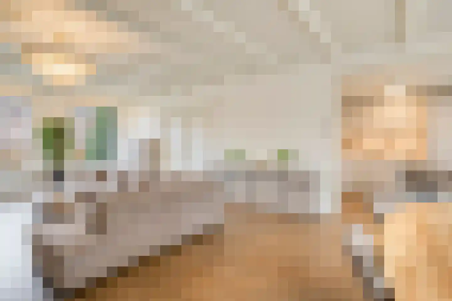 Weegbree 5 Best thumbnail 26
