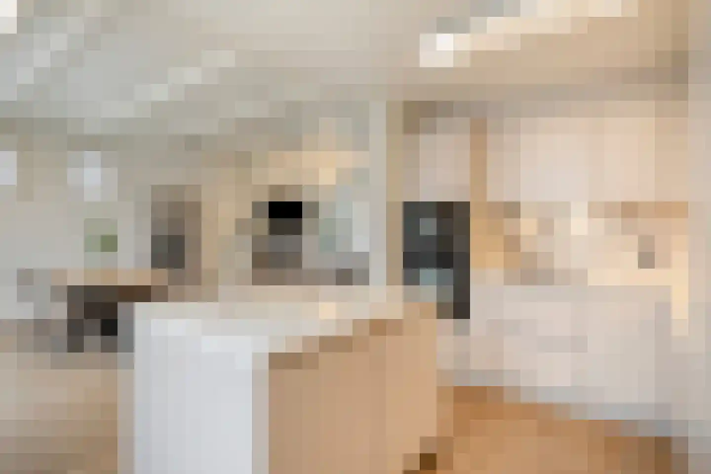Weegbree 5 Best thumbnail 28