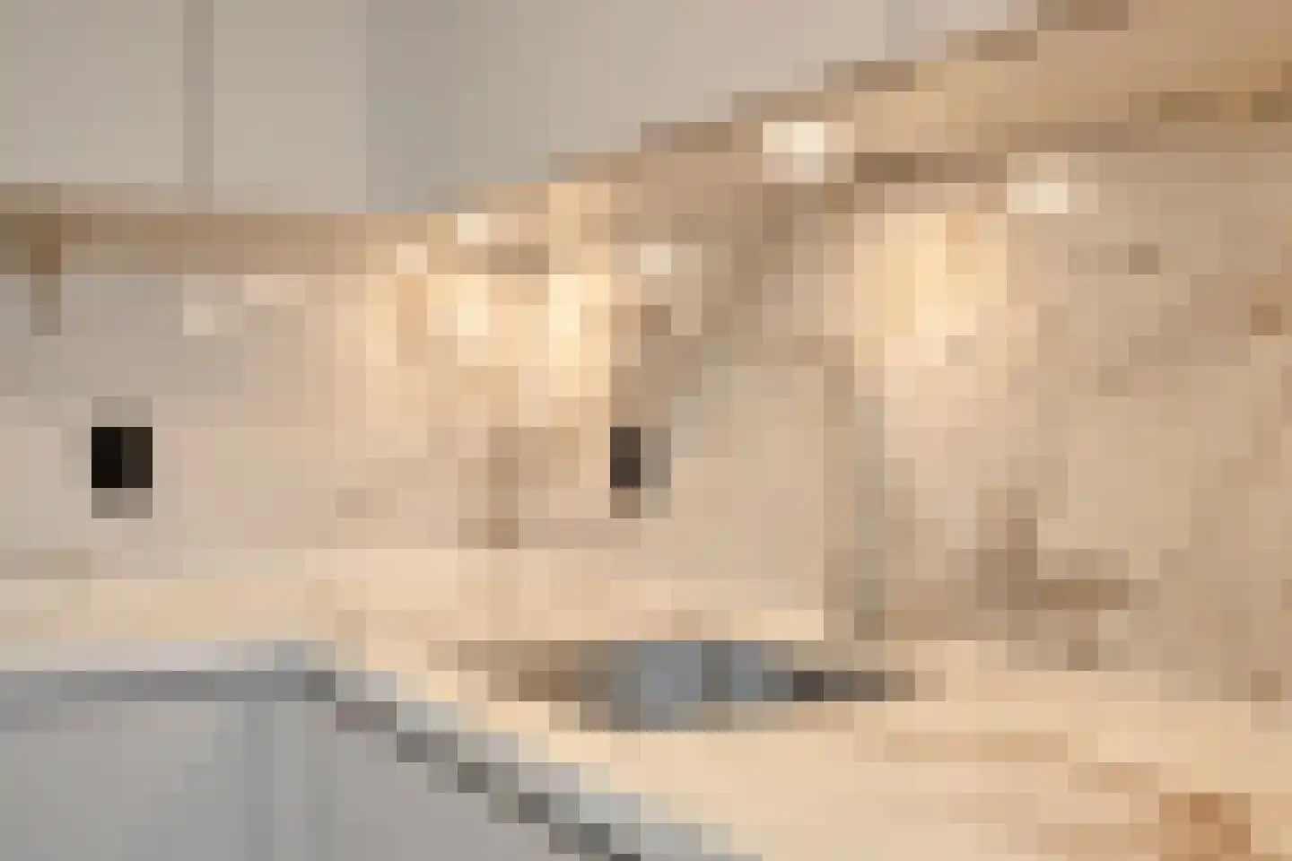 Weegbree 5 Best thumbnail 29