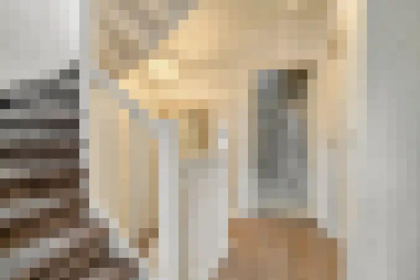 Weegbree 5 Best thumbnail 36