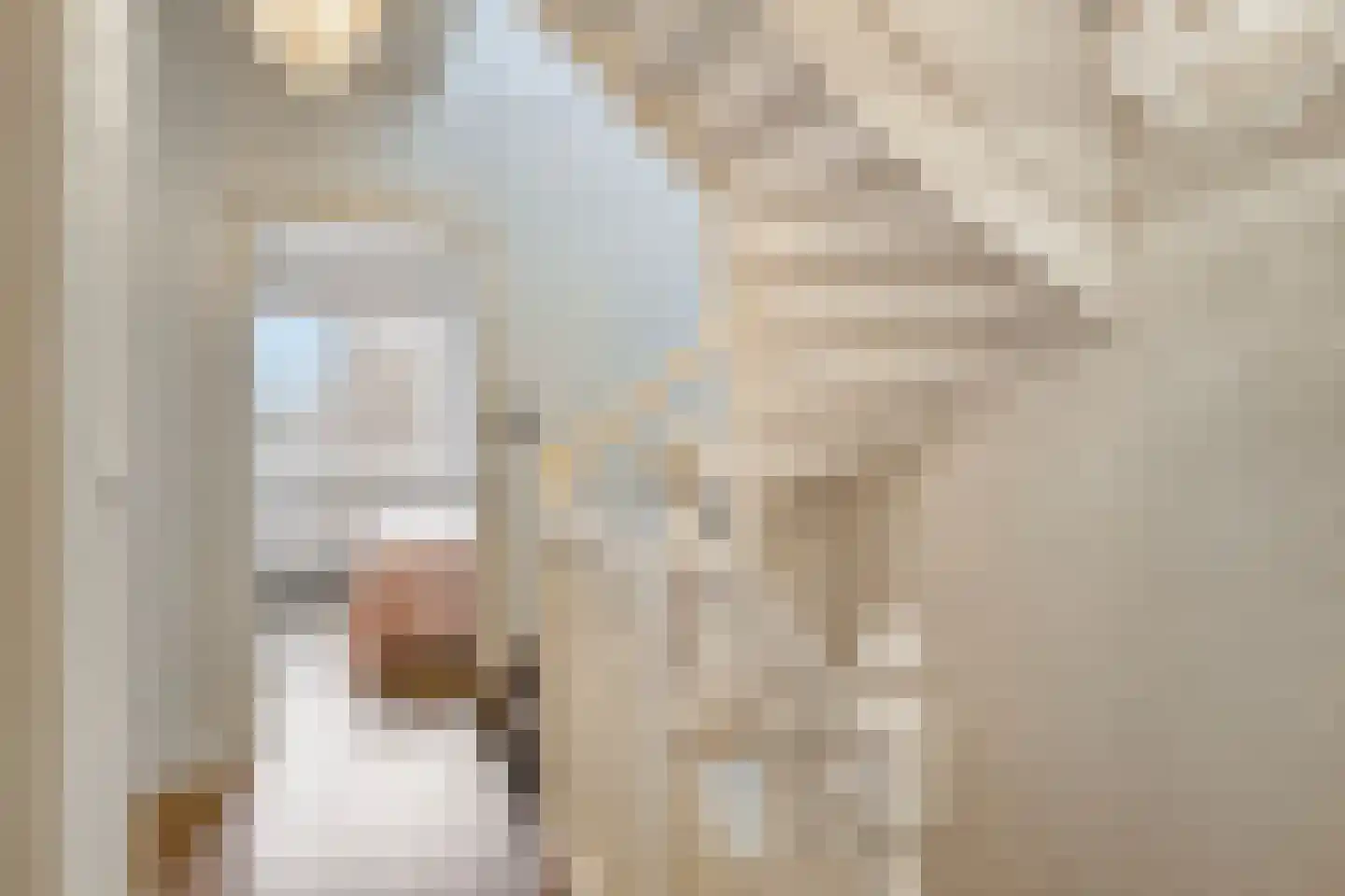 Weegbree 5 Best thumbnail 37