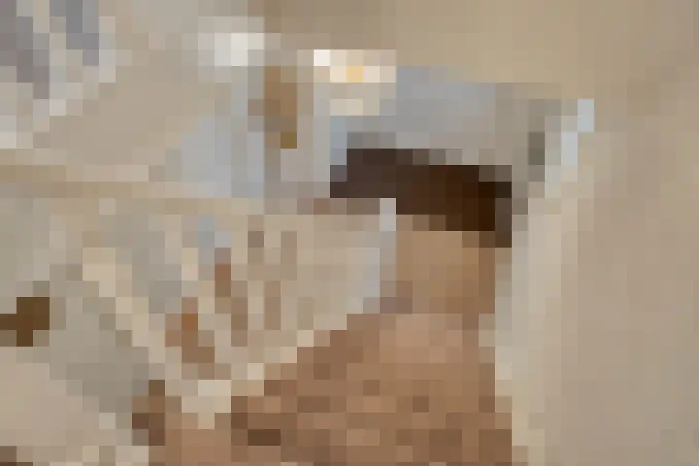 Weegbree 5 Best thumbnail 38