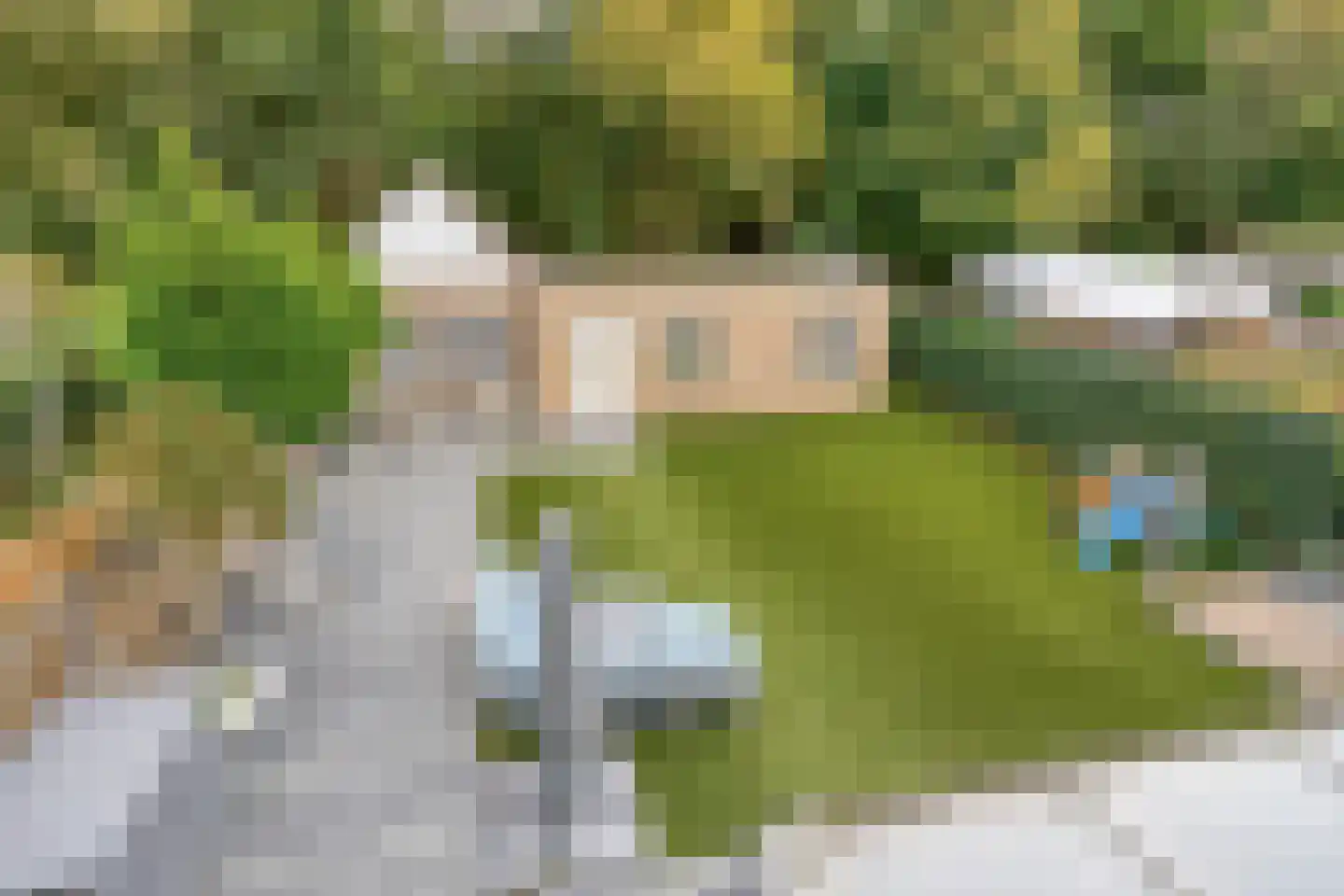 Weegbree 5 Best thumbnail 48
