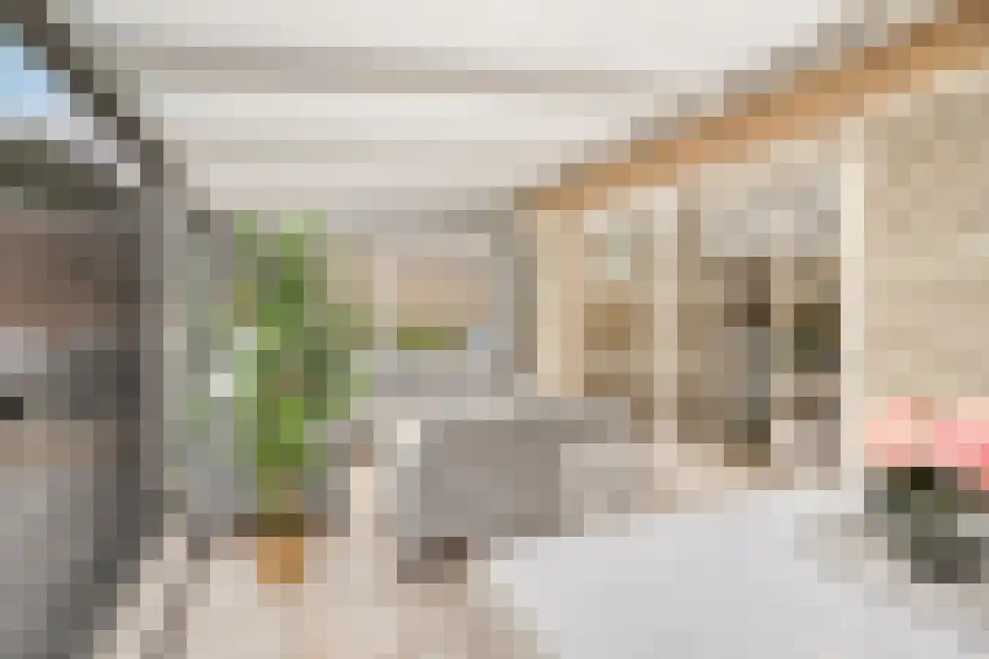 Weegbree 5 Best thumbnail 5