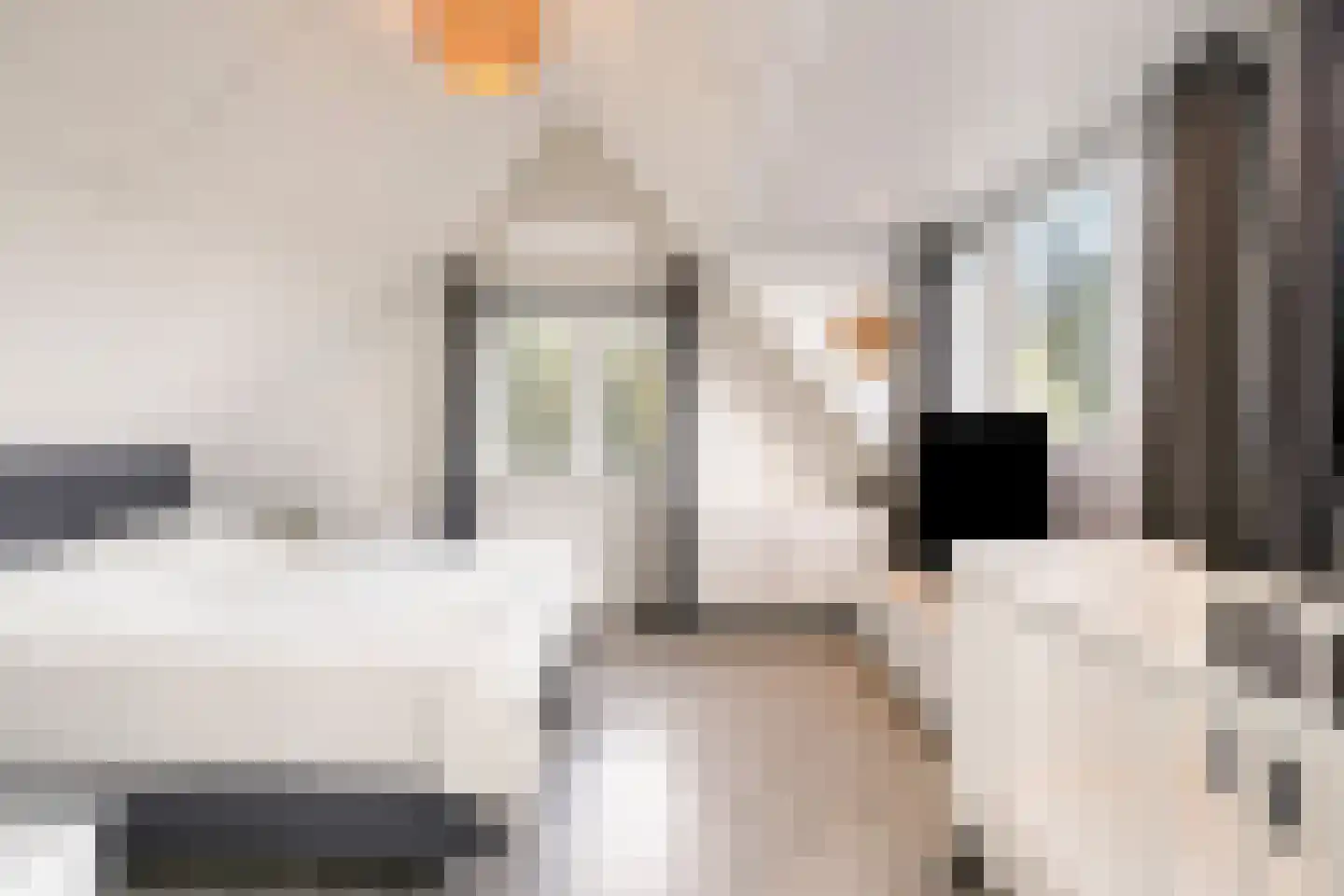 Weegbree 5 Best thumbnail 53