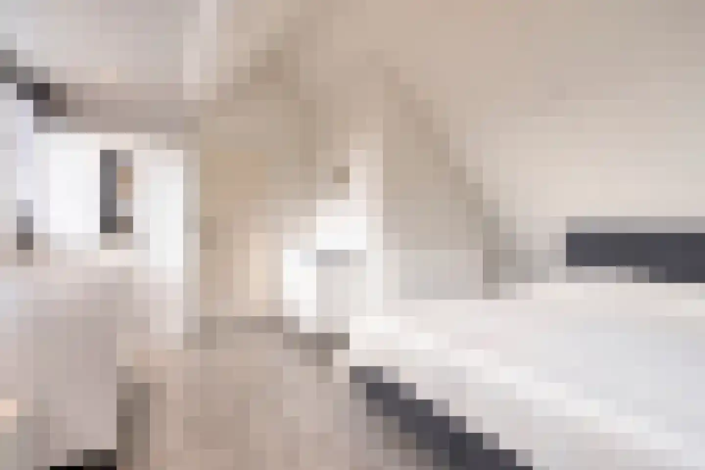 Weegbree 5 Best thumbnail 54