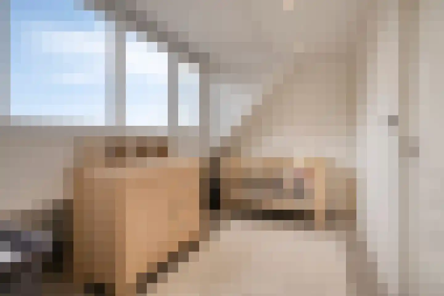 Weegbree 5 Best thumbnail 55