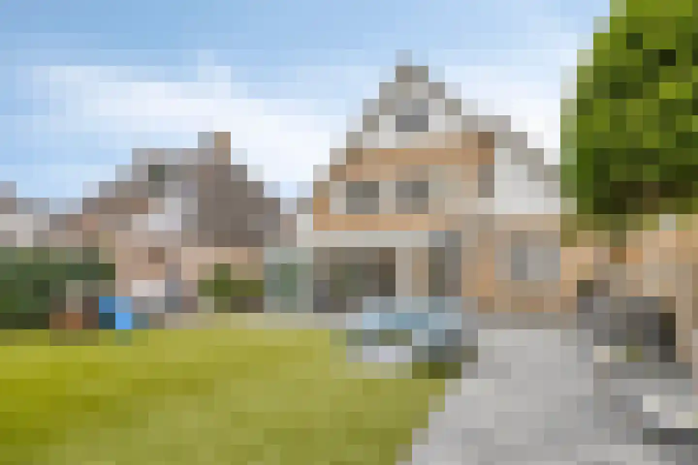 Weegbree 5 Best thumbnail 6