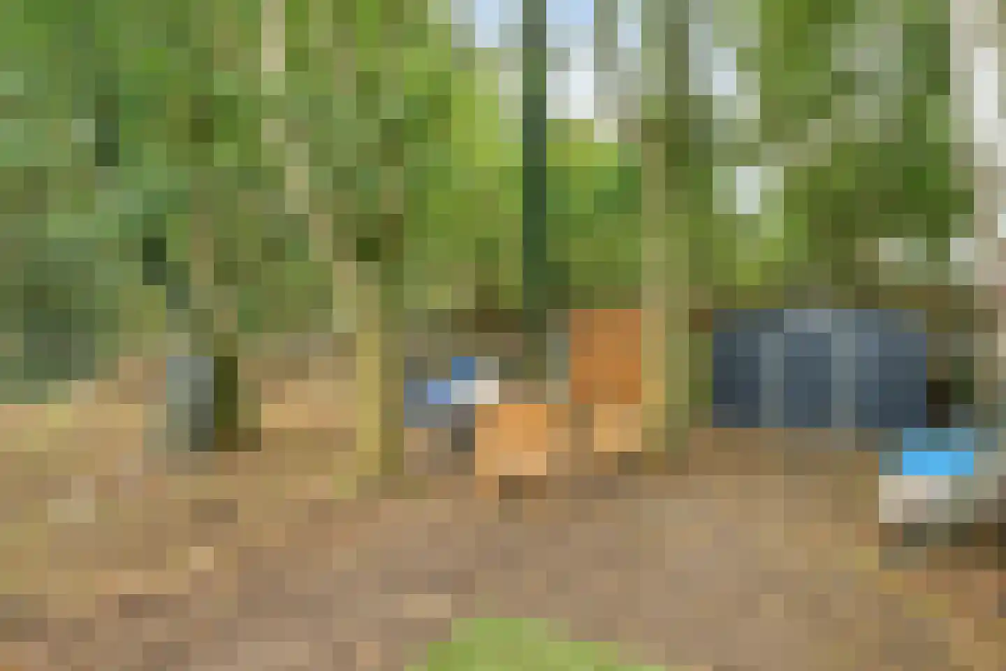 Weegbree 5 Best thumbnail 61