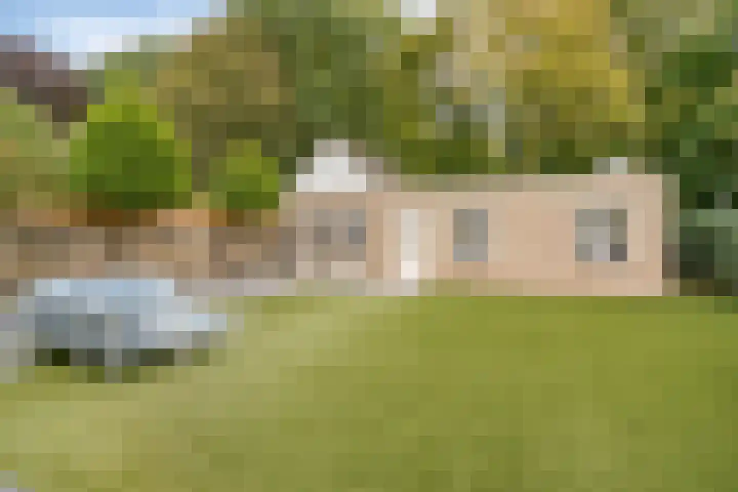 Weegbree 5 Best thumbnail 63