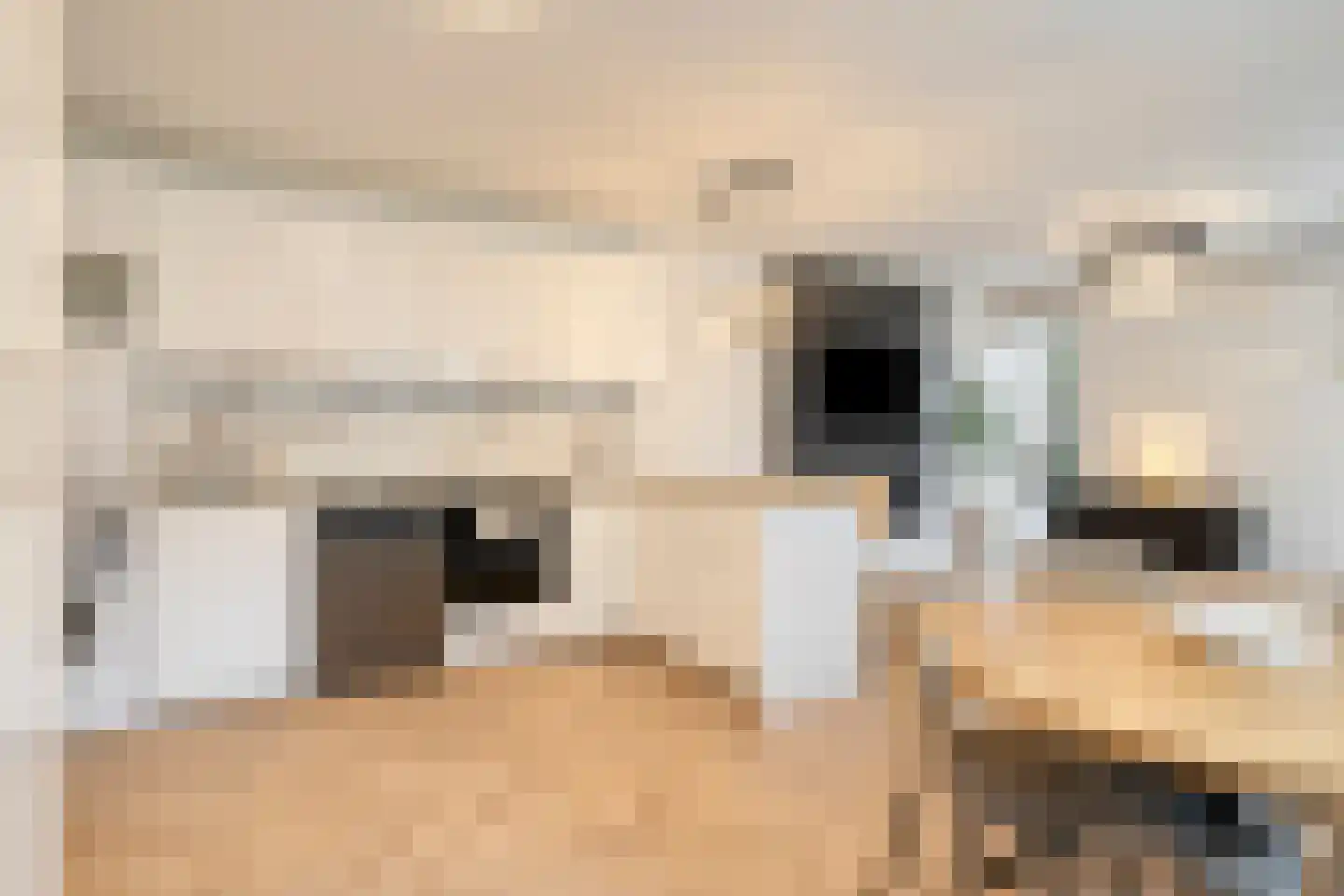 Weegbree 5 Best thumbnail 64