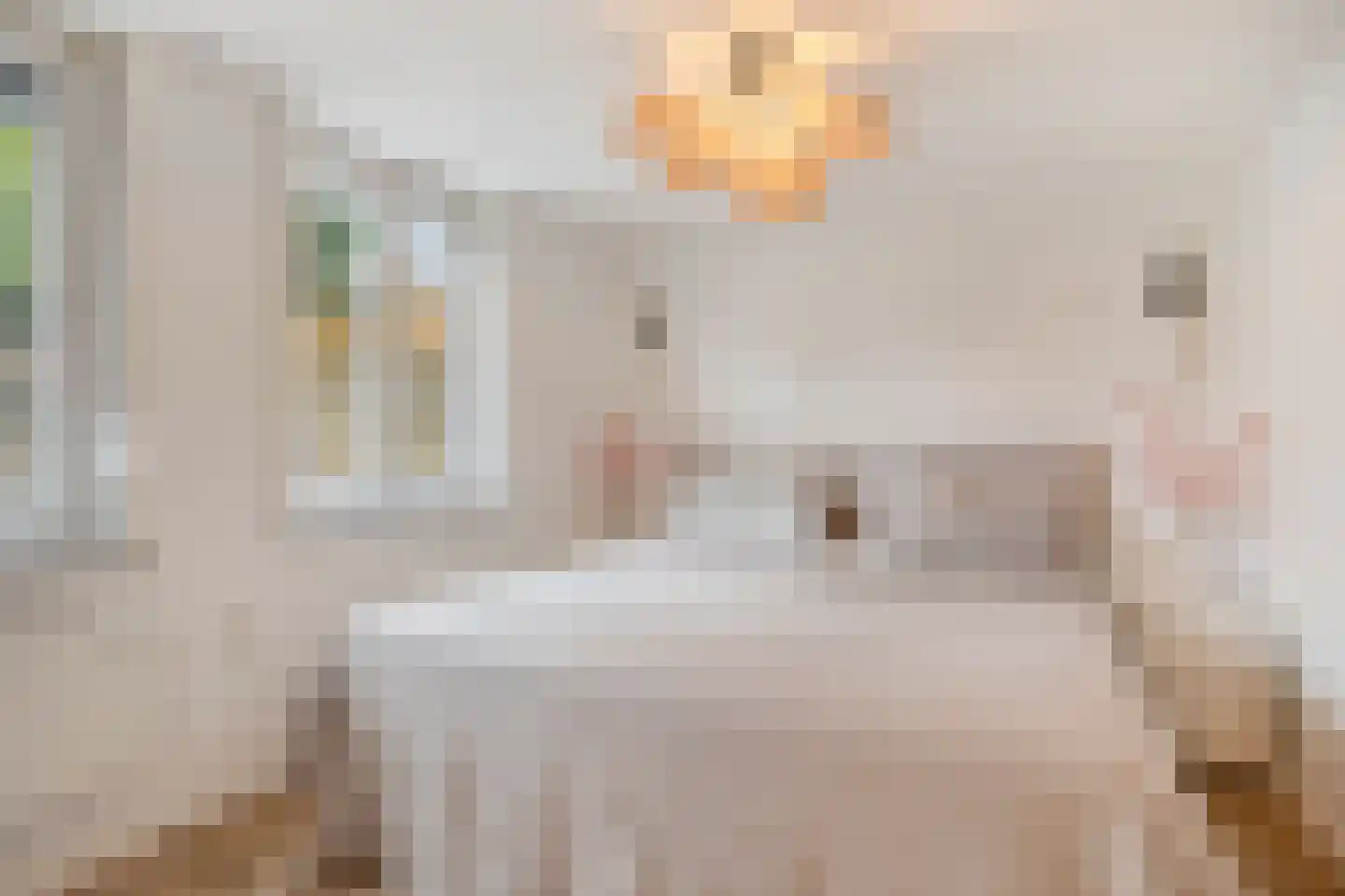 Weegbree 5 Best thumbnail 69
