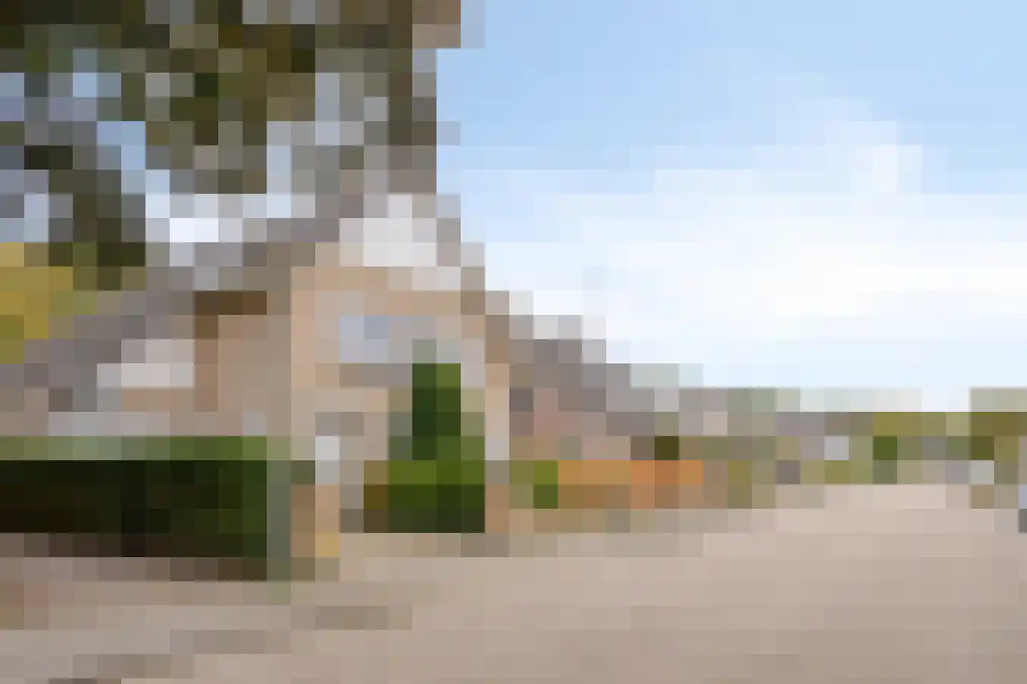Weegbree 5 Best thumbnail 7