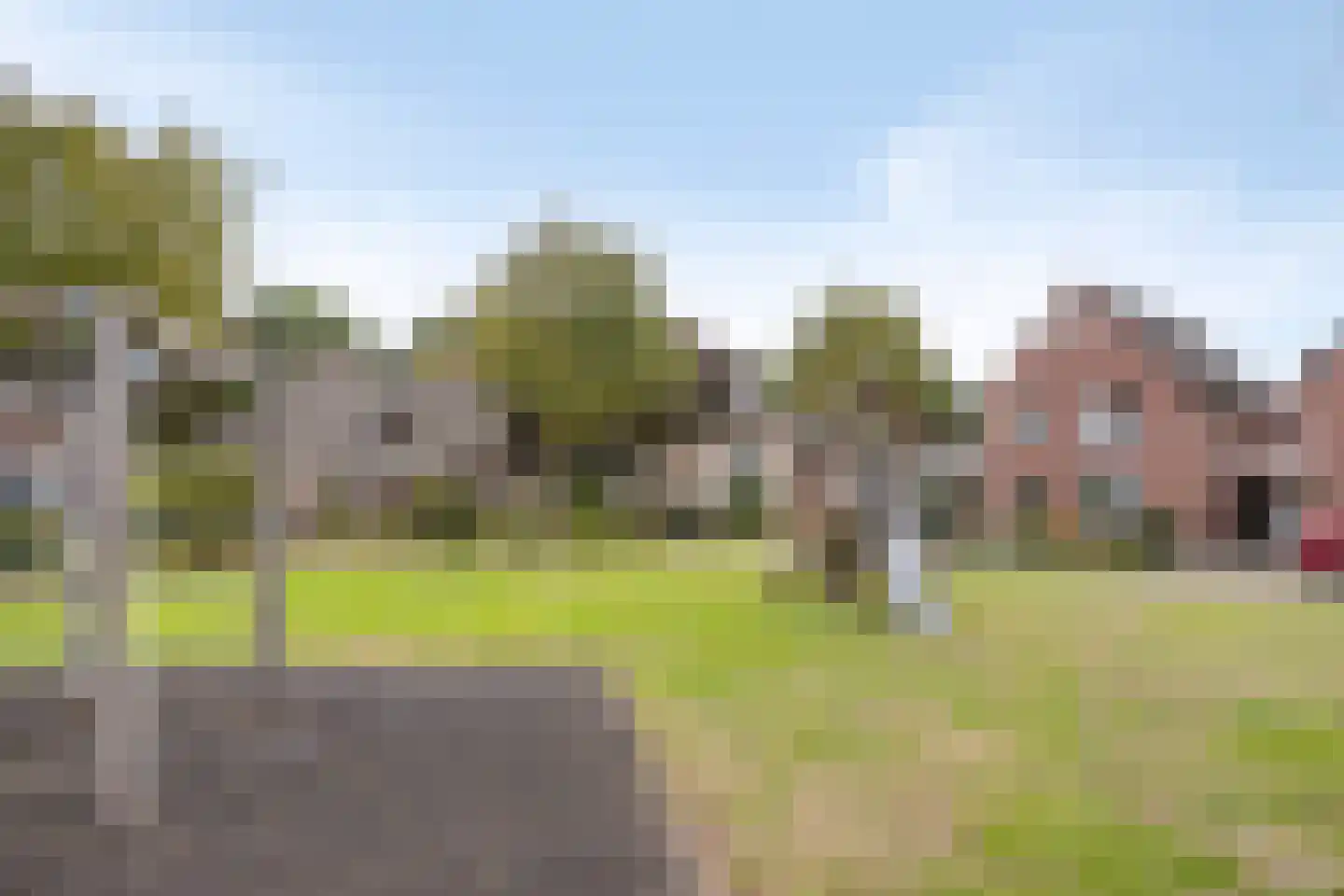 Weegbree 5 Best thumbnail 72