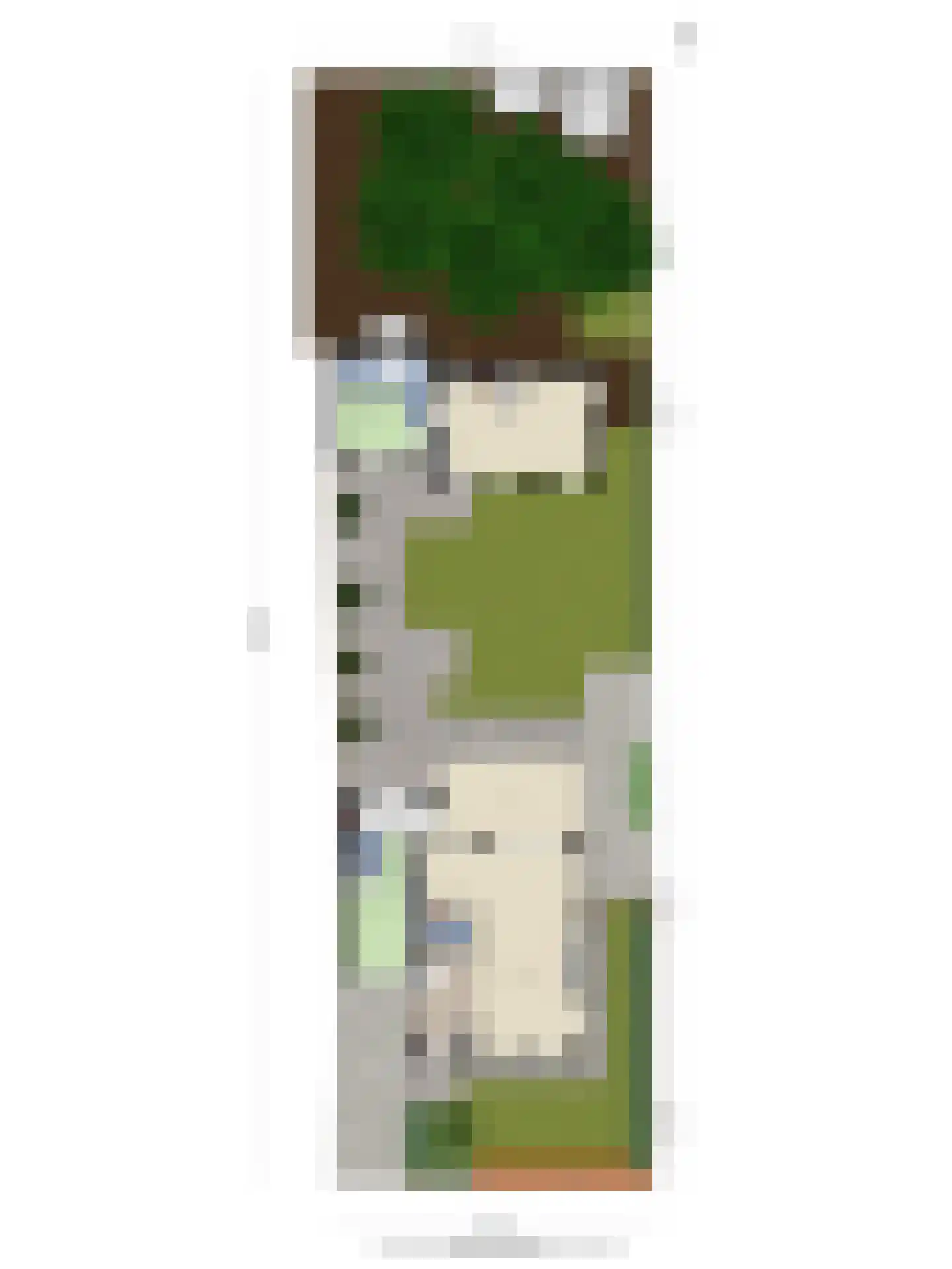 Weegbree 5 Best thumbnail 75