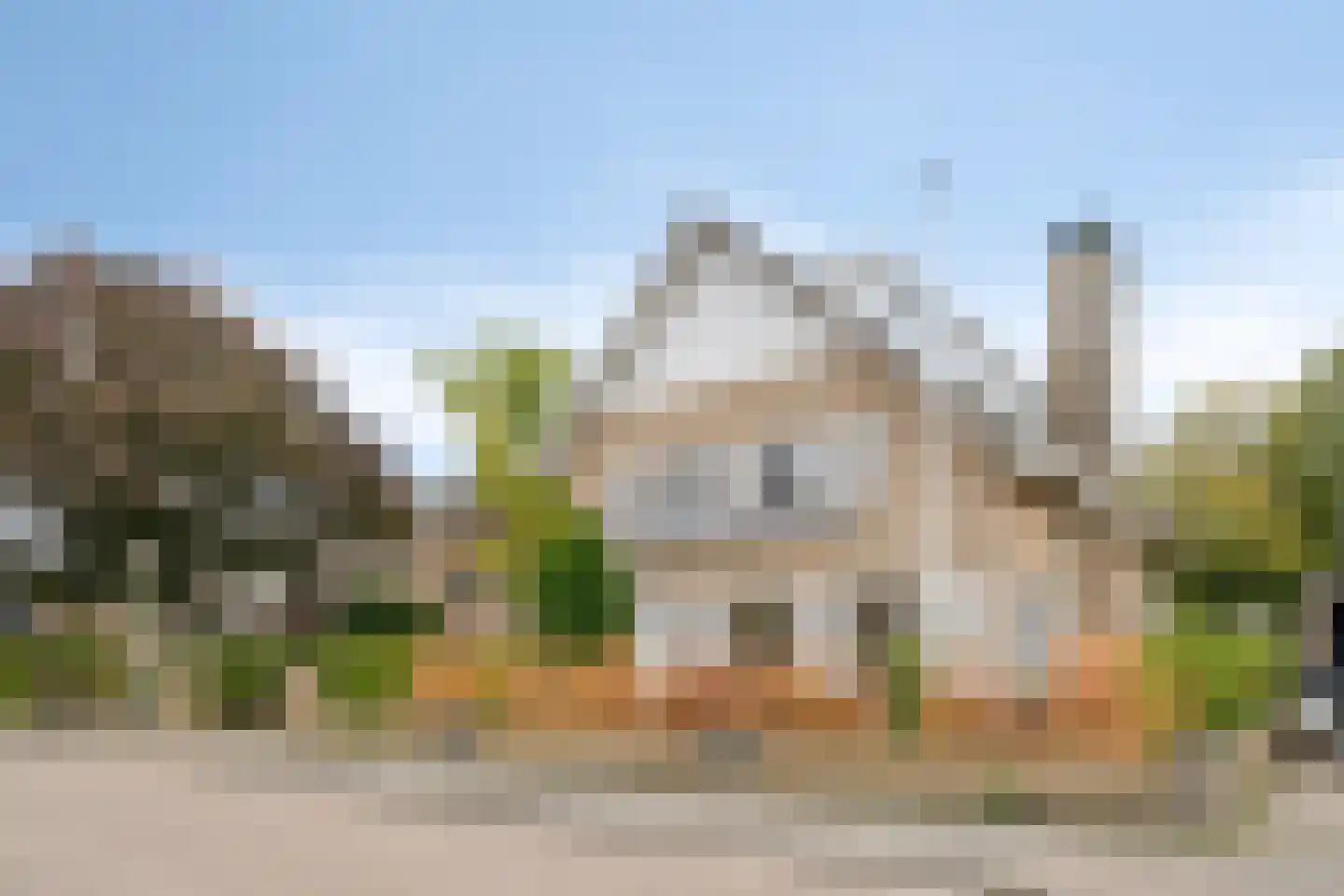 Weegbree 5 Best thumbnail 9