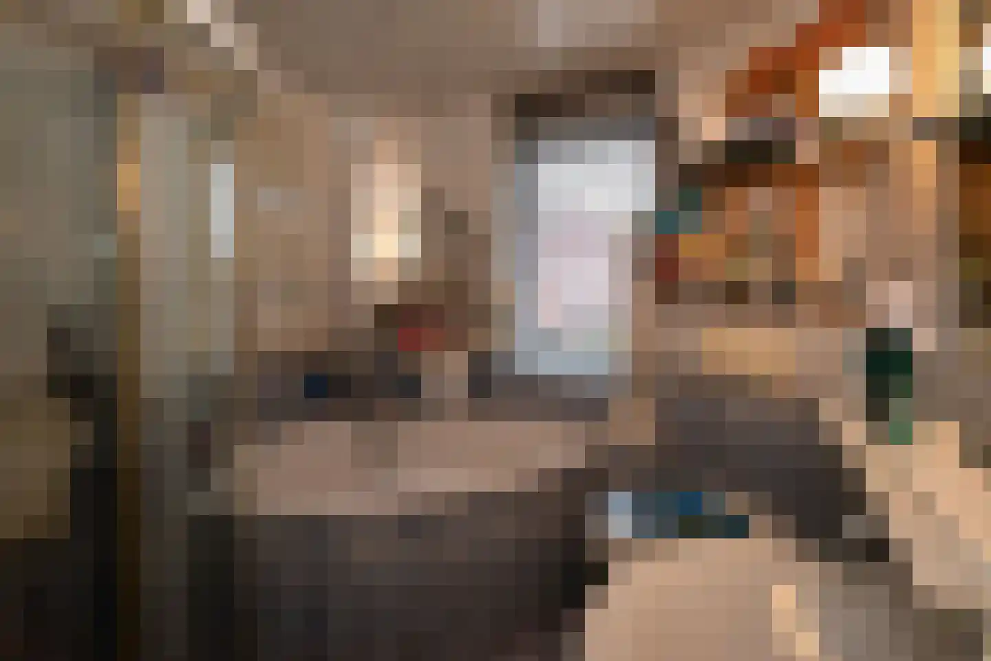 Weegbree 5 Nijverdal thumbnail 18