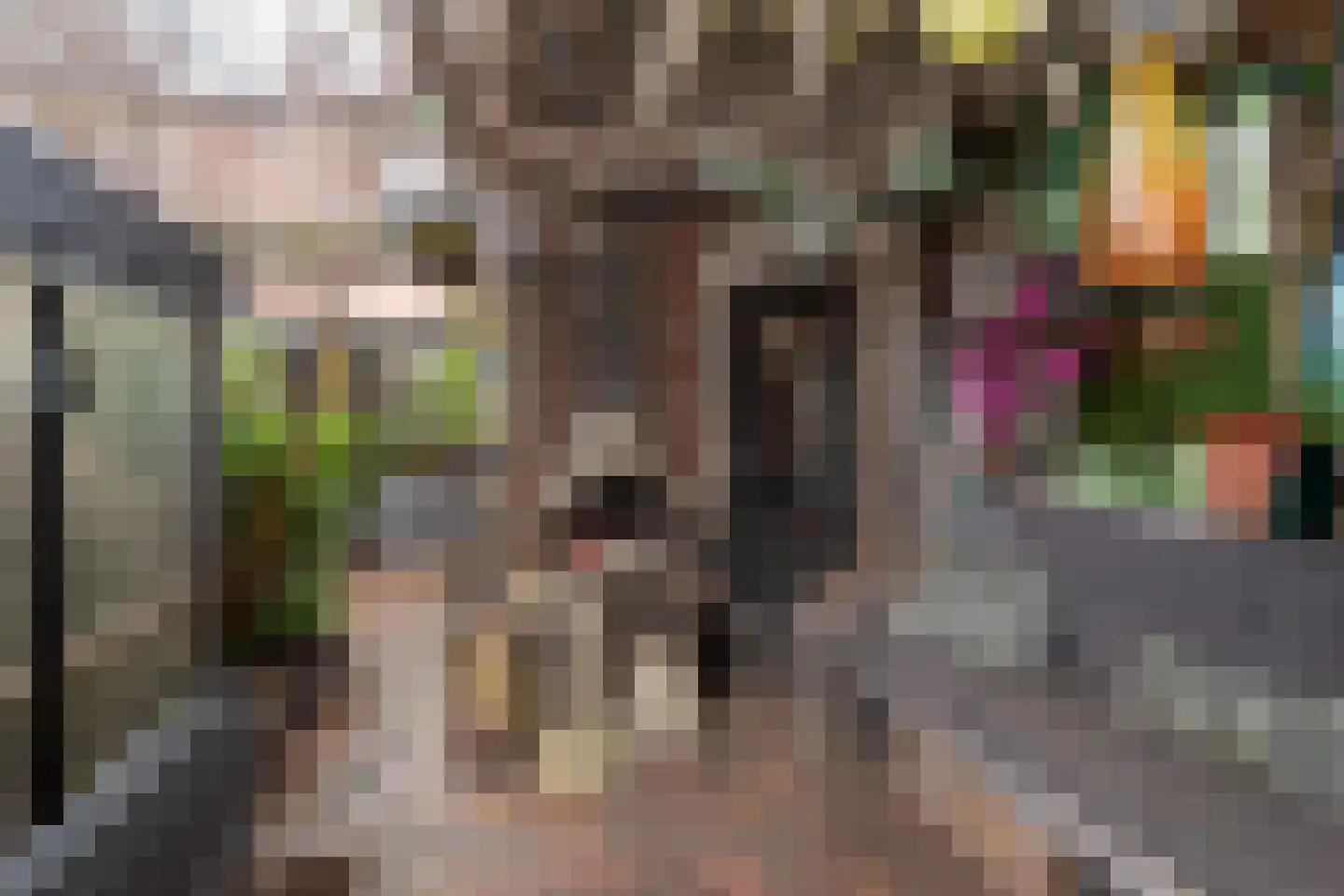 Weegbree 5 Nijverdal thumbnail 22