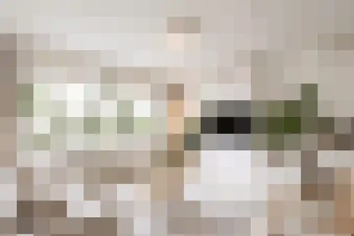 Weegbree 5 Nijverdal thumbnail 4