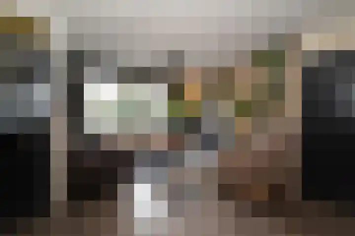 Weegbree 5 Nijverdal thumbnail 5