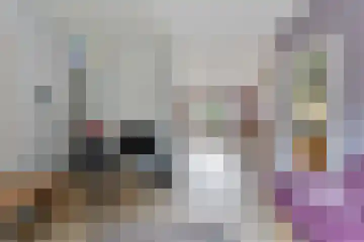 Weegbree 52 Heerenveen thumbnail 11
