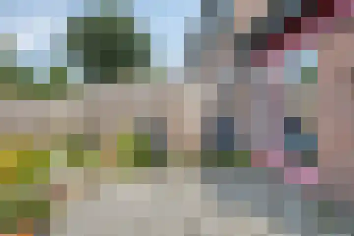 Weegbree 52 Heerenveen thumbnail 23