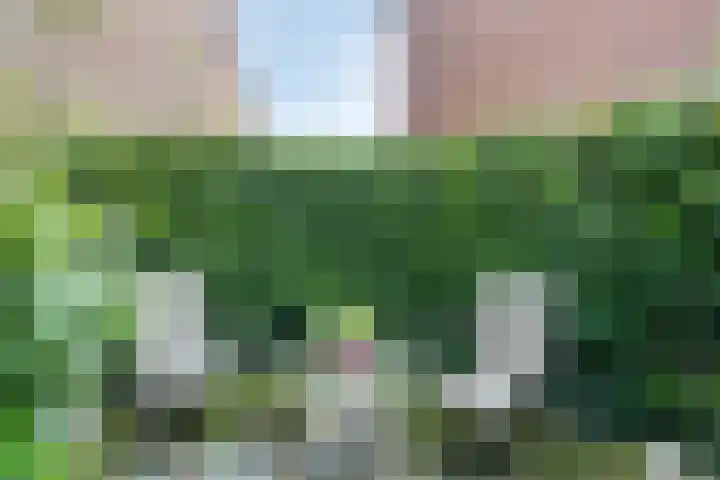 Weegbree 52 Heerenveen thumbnail 27