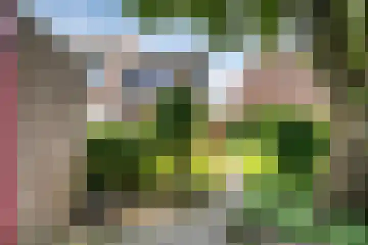 Weegbree 52 Heerenveen thumbnail 30