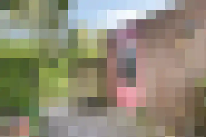 Weegbree 52 Heerenveen thumbnail 31