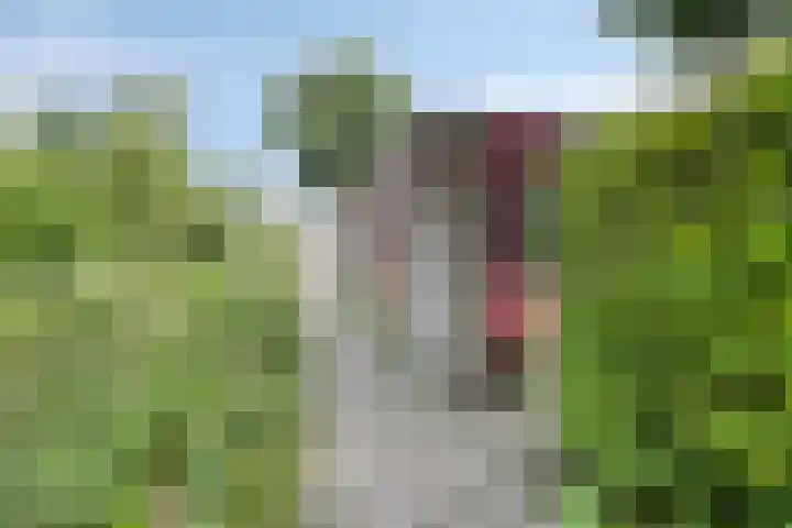 Weegbree 52 Heerenveen thumbnail 33