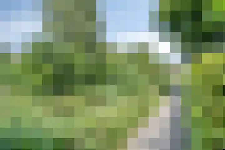 Weegbree 52 Heerenveen thumbnail 34