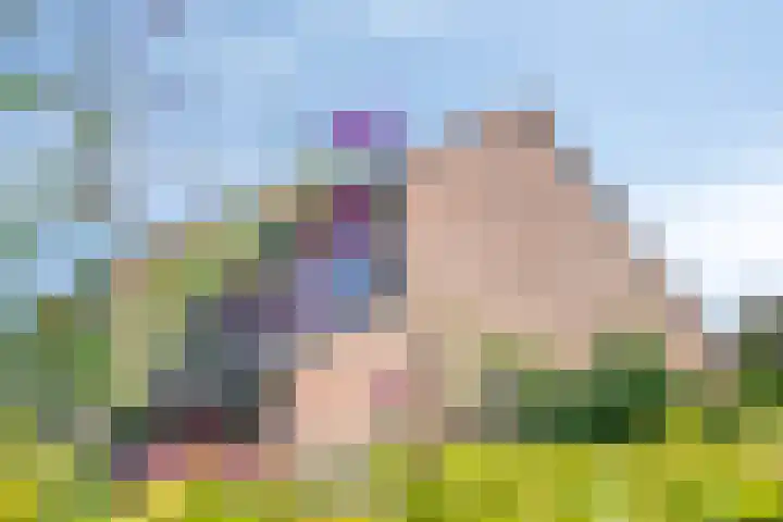 Weegbree 52 Heerenveen thumbnail 36