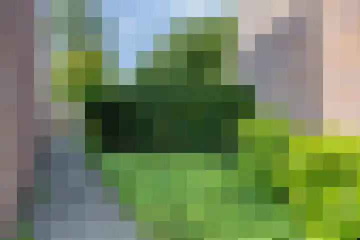 Weegbree 52 Heerenveen thumbnail 37