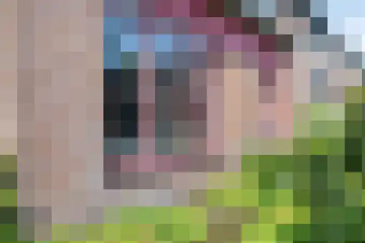 Weegbree 52 Heerenveen thumbnail 38