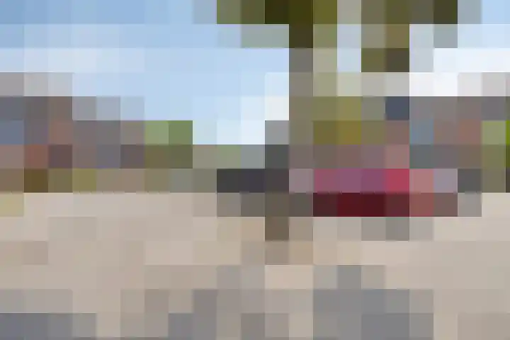 Weegbree 52 Heerenveen thumbnail 39