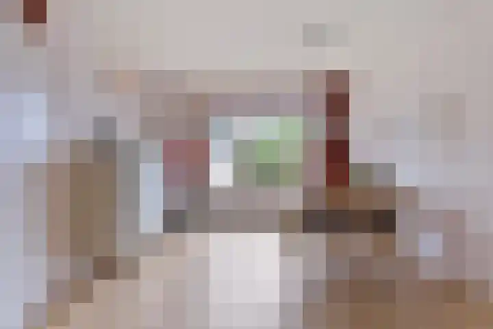 Weegbree 52 Heerenveen thumbnail 7