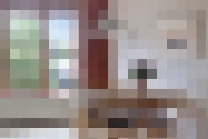 Weegbree 52 Heerenveen thumbnail 8