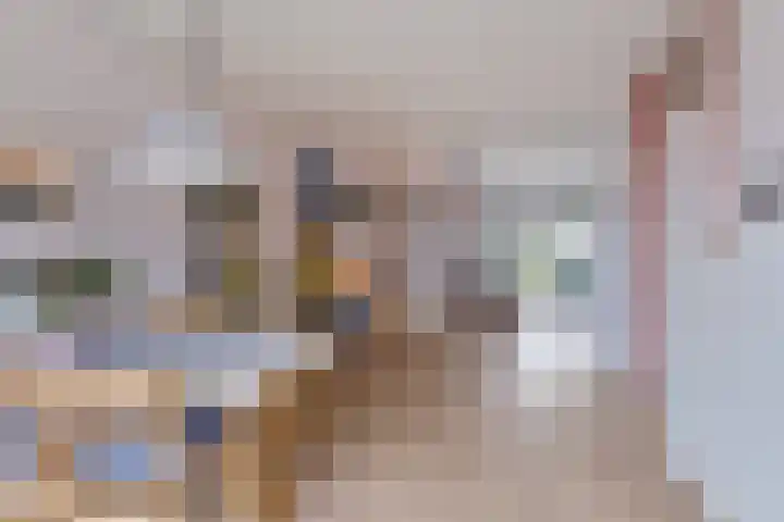 Weegbree 52 Heerenveen thumbnail 9