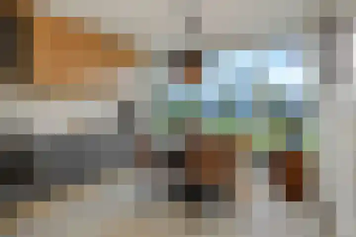 Weegbree 55 's-Hertogenbosch thumbnail 10