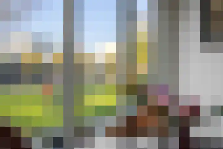 Weegbree 55 's-Hertogenbosch thumbnail 12