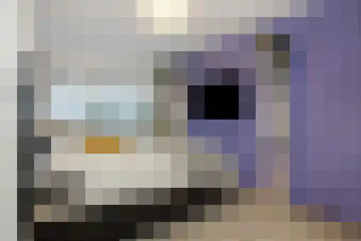 Weegbree 55 's-Hertogenbosch thumbnail 14