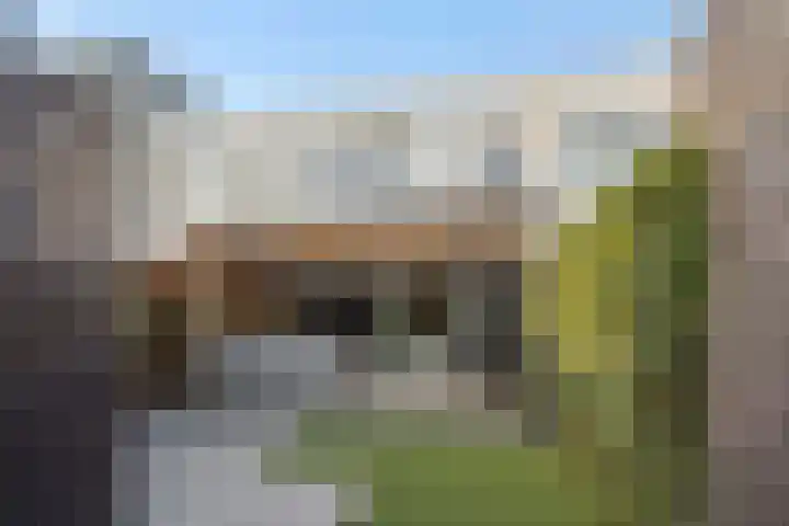 Weegbree 55 's-Hertogenbosch thumbnail 23