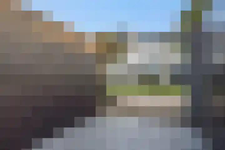 Weegbree 55 's-Hertogenbosch thumbnail 24