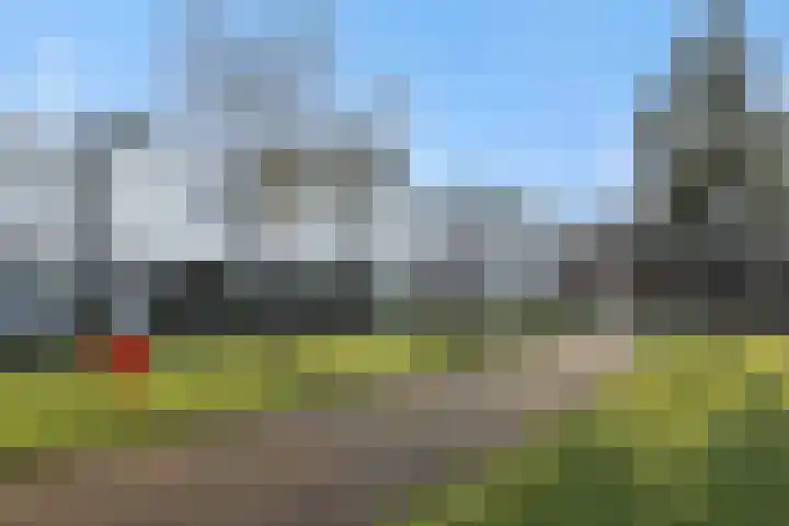 Weegbree 55 's-Hertogenbosch thumbnail 26