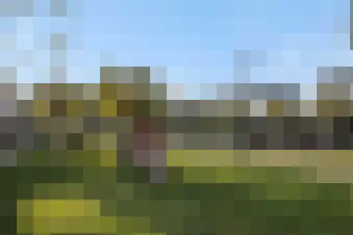 Weegbree 55 's-Hertogenbosch thumbnail 27