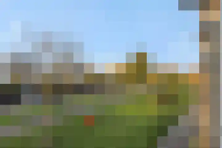 Weegbree 55 's-Hertogenbosch thumbnail 28